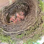 Appartement Ferien Im Bomlitztal *