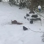 Ferien Im Bomlitztal *