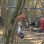 Ferien Im Bomlitztal Appartement Bomlitz