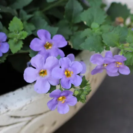 Ferien Im Bomlitztal * Bomlitz