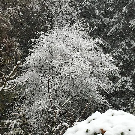 Ferien Im Bomlitztal * Bomlitz