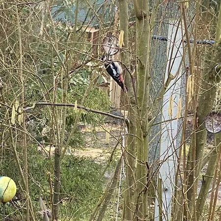 Ferien Im Bomlitztal