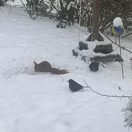 Ferien Im Bomlitztal *