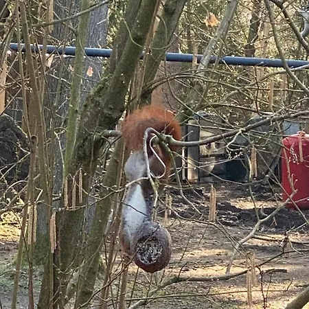 Ferien Im Bomlitztal Apartamento Bomlitz