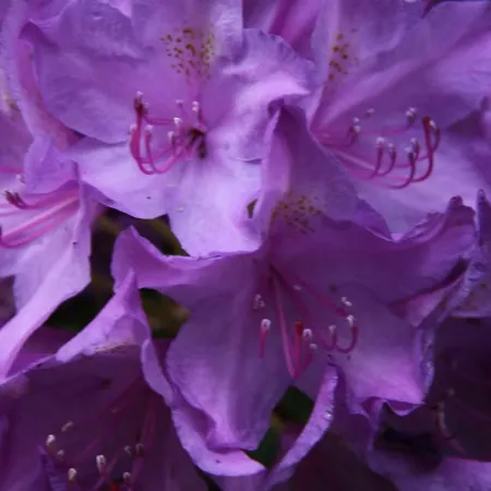 Ferien Im Bomlitztal * Bomlitz
