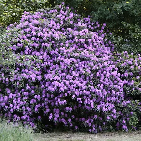 Ferien Im Bomlitztal Apartamento Bomlitz