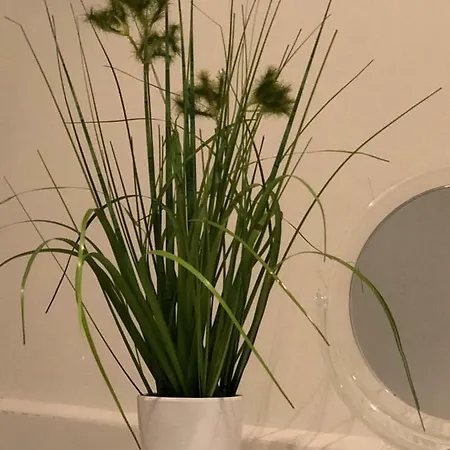 Apartamento Ferien Im Bomlitztal