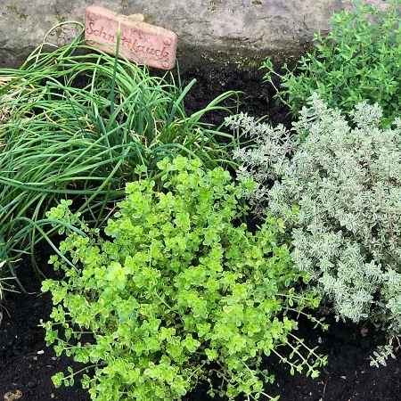 Apartmán Ferien Im Bomlitztal Bomlitz