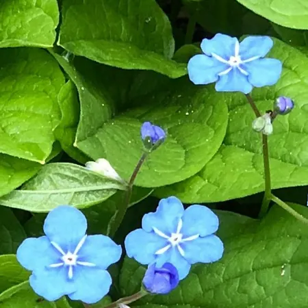 Ferien Im Bomlitztal Bomlitz