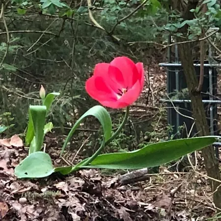 Apartmán Ferien Im Bomlitztal *