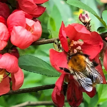 Ferien Im Bomlitztal Apartamento Bomlitz