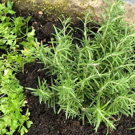 Ferien Im Bomlitztal Apartmán