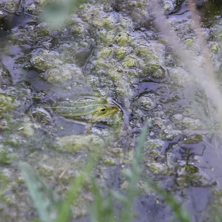 Ferien Im Bomlitztal Apartamento *