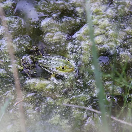 Ferien Im Bomlitztal Bomlitz